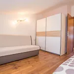 Holiday home Rustic-holiday Vani With Tavern, Near Porec